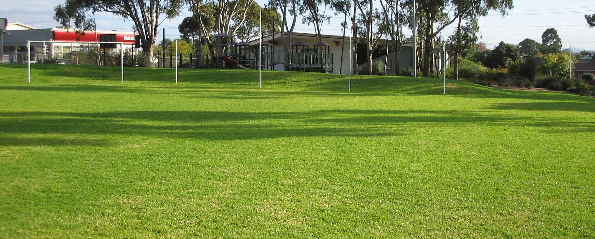 Vivesco_Concord School