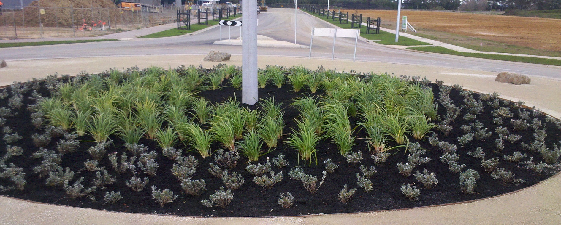 Vivesco_Power Park