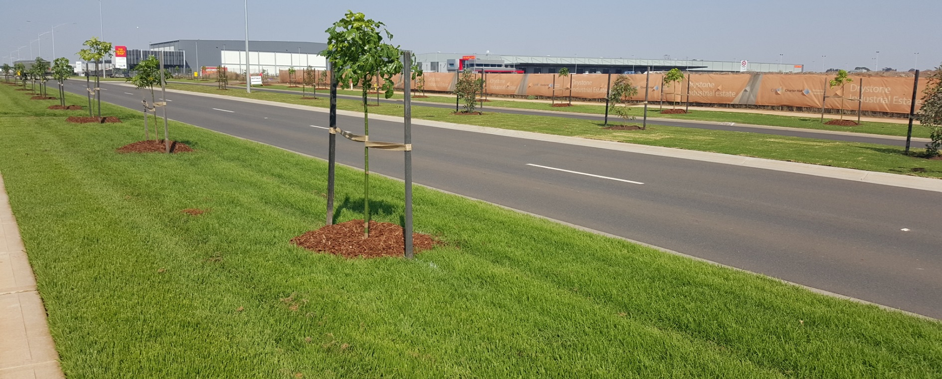 Vivesco_Drystone Estate streetscape
